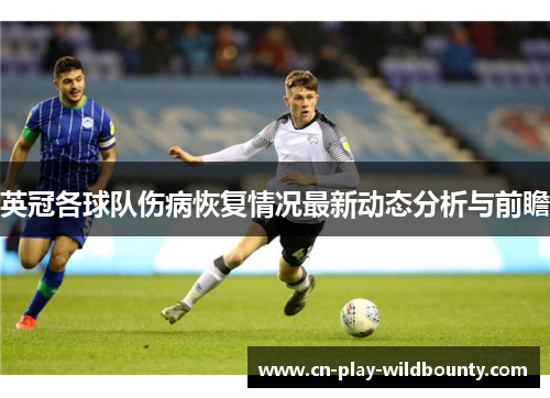 英冠各球队伤病恢复情况最新动态分析与前瞻 英冠各球队伤病恢复情况最新动态分析与前瞻