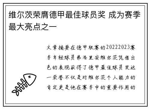 维尔茨荣膺德甲最佳球员奖 成为赛季最大亮点之一 维尔茨荣膺德甲最佳球员奖 成为赛季最大亮点之一