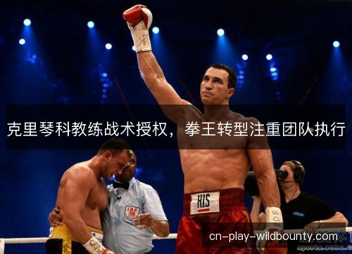 克里琴科教练战术授权，拳王转型注重团队执行